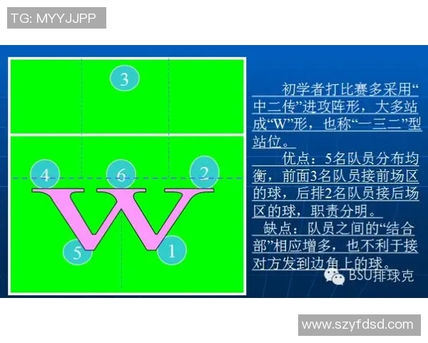 南京排球队的节奏探讨与战术创新分析 南京排球队的节奏探讨与战术创新分析