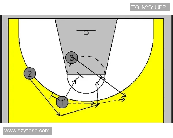 杭州排球队的包夹战术解析与实战应用探讨
