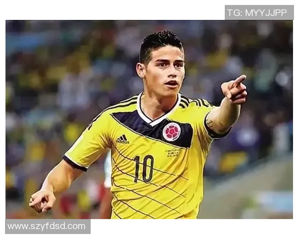 足球明星地毯图片大全展示各大球星风采与个性化家居装饰风格