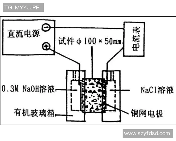 重庆羽毛球队边路渗透战术分析及其对比赛结果的影响探讨 重庆羽毛球队边路渗透战术分析及其对比赛结果的影响探讨
